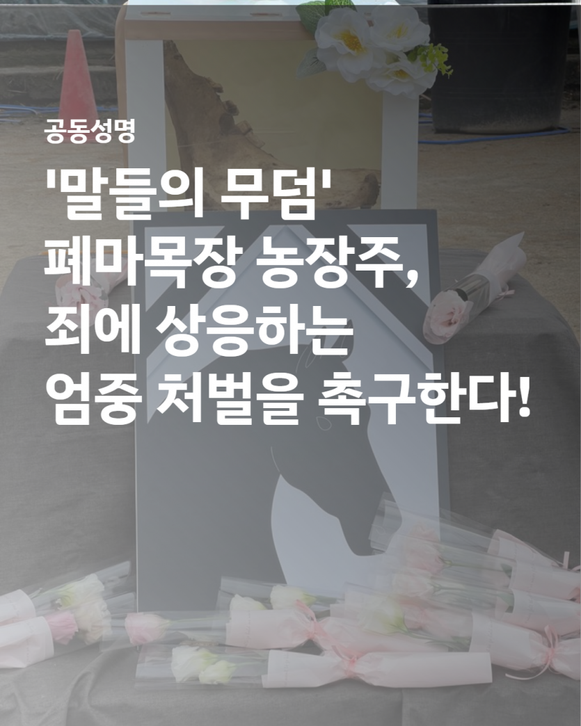 49c56bd3eee90464dfcca05f87eedc4b_1758613586_1974.png