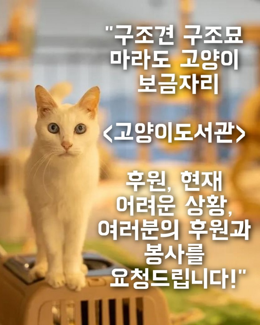 bdae84658eac773dffaff95c1cd283fa_1761027915_5285.jpg