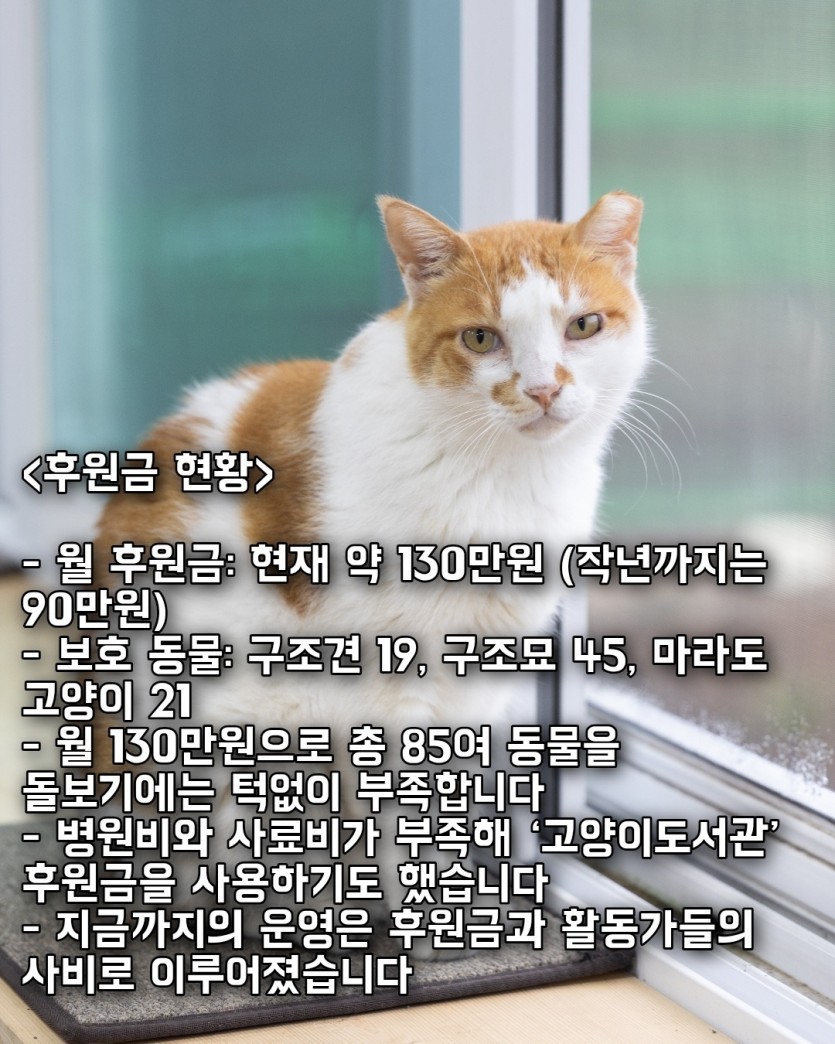 bdae84658eac773dffaff95c1cd283fa_1761027917_6884.jpg