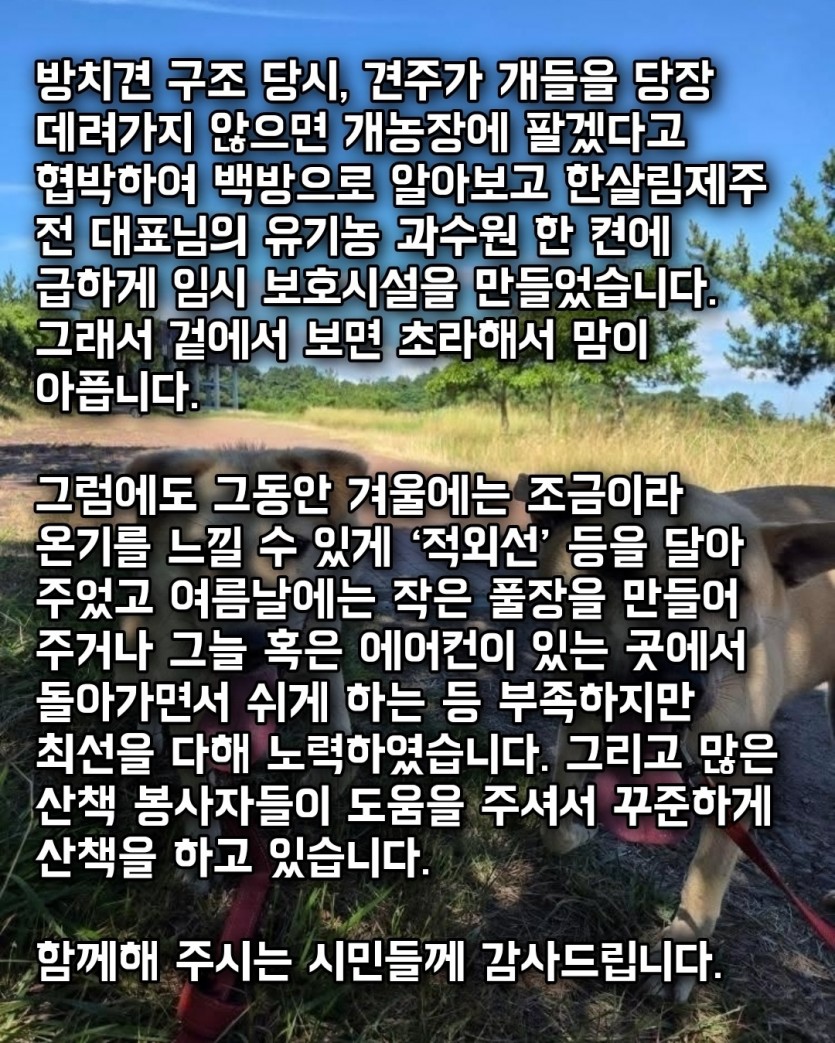 bdae84658eac773dffaff95c1cd283fa_1761027919_3885.jpg