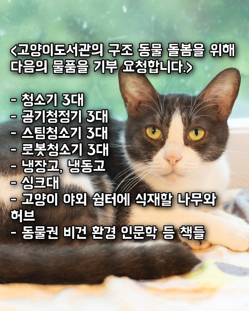 bdae84658eac773dffaff95c1cd283fa_1761027952_3802.jpg