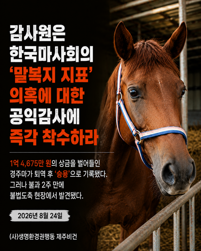 d72e86085d687186886beecbcc4e29a2_1787550110_5995.png